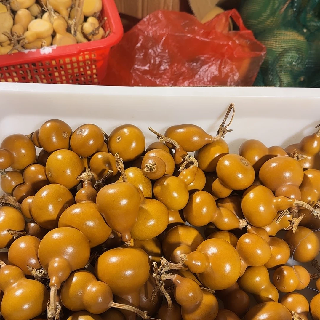 葫芦葫芦处理葫芦葫芦葫芦