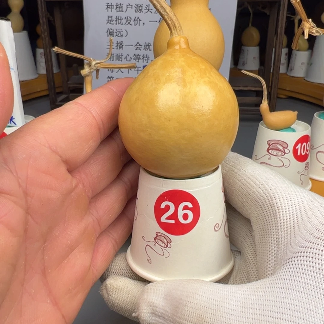 闪电购自助下单编号26