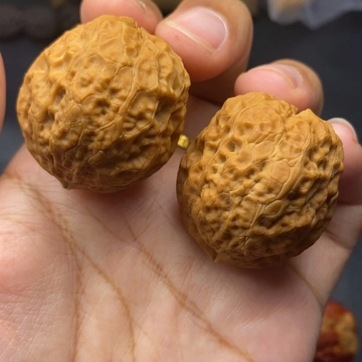 把件文玩核桃39尺蛇皮元宝
