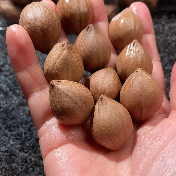 吊坠橄榄核2.2agdmg3.0