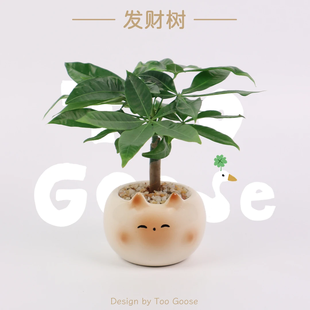 【呆鹅家-招财喵】发财树幸运室内禅意四季常绿绿植客厅办公室