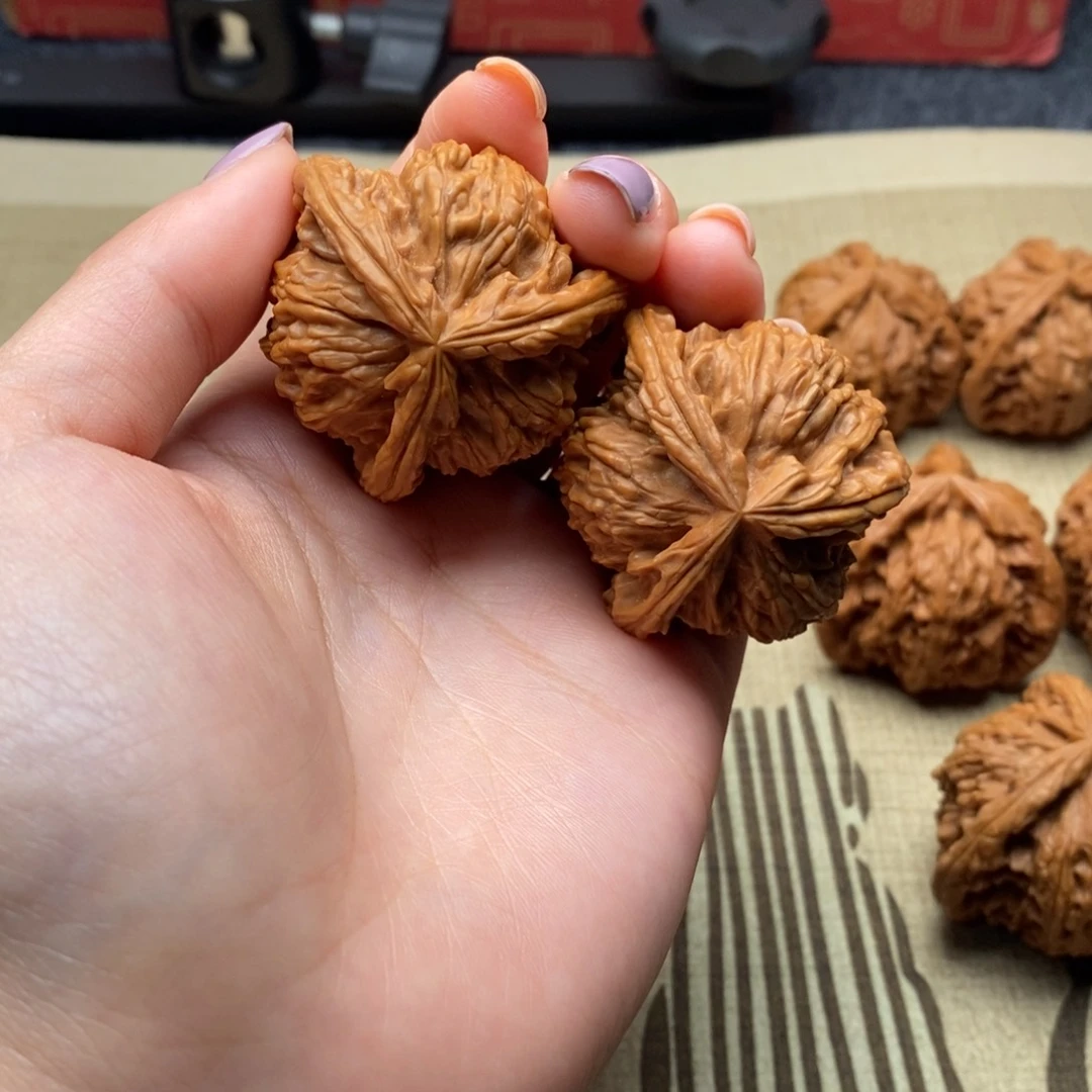 南****?白狮子11111111111