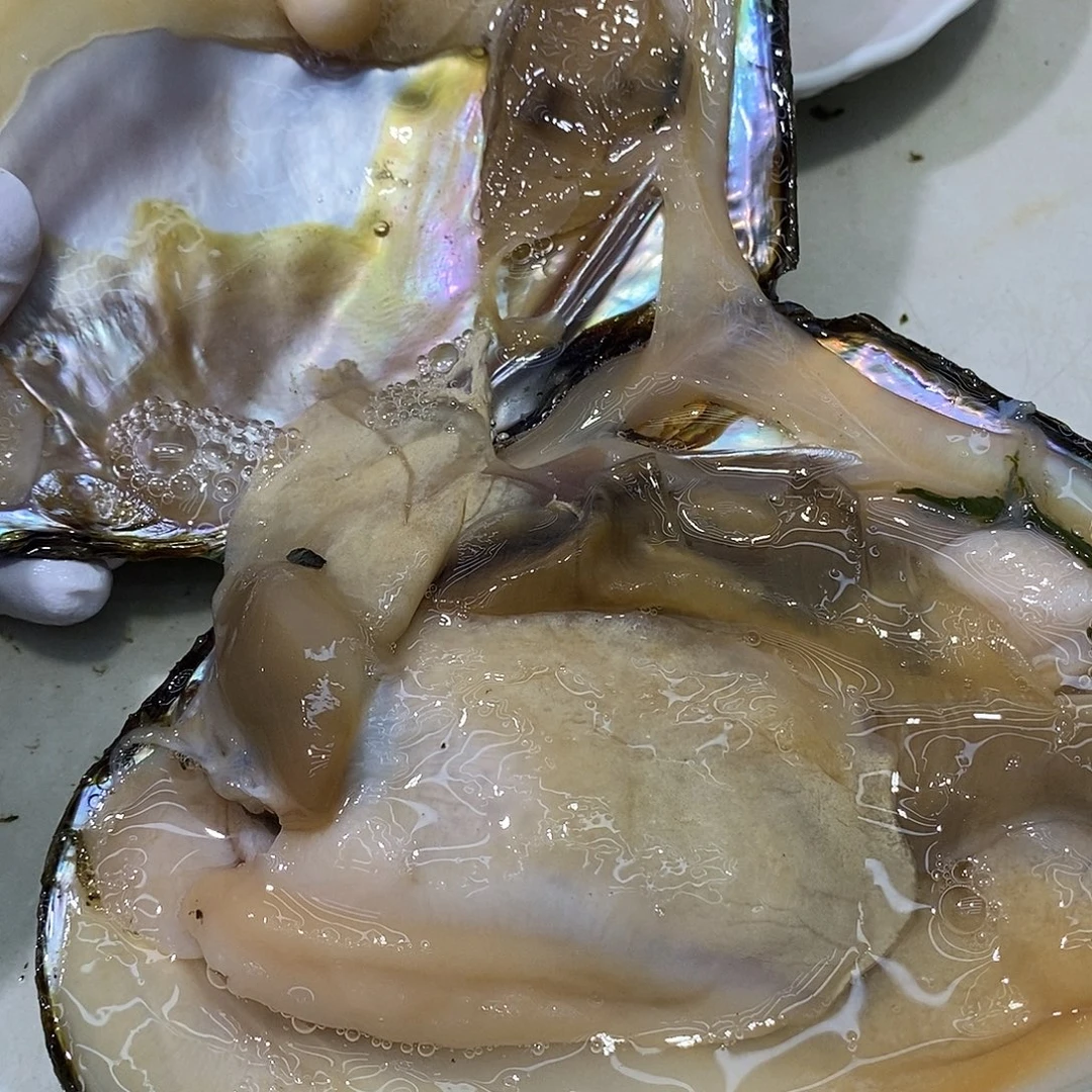 三醋酯纤维擦擦擦啊擦擦擦