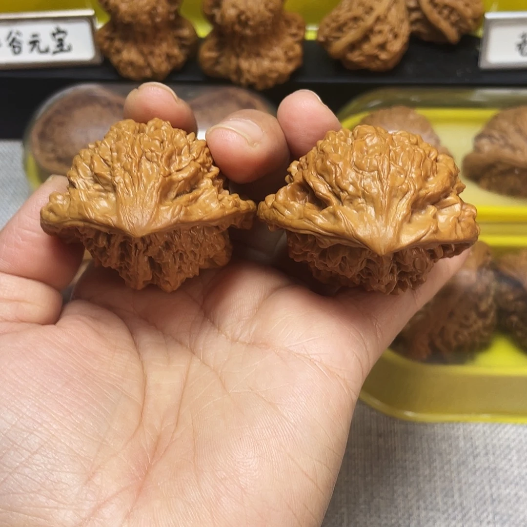 木质类鹰嘴48大尺寸