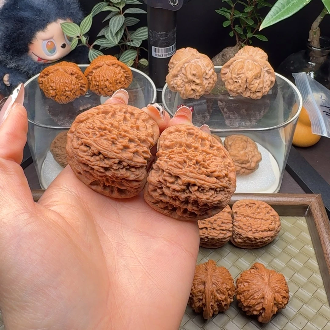 把件龙脊菩提全品三角疆43