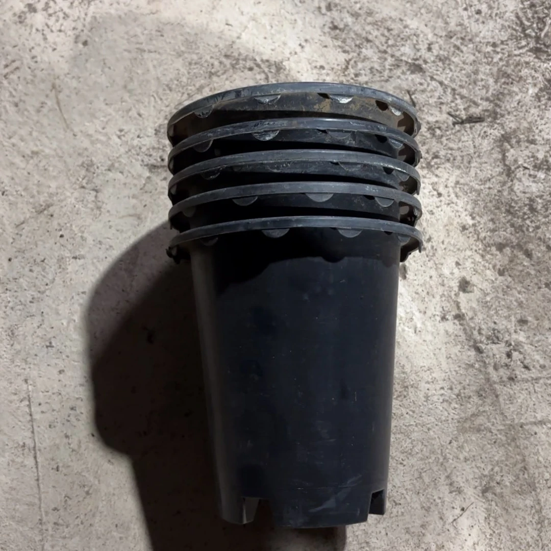 兰花盆125口径发20个