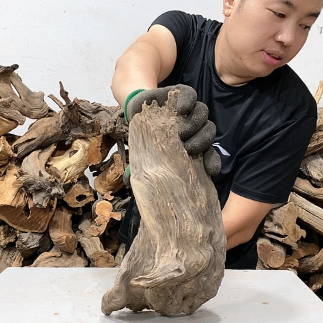 【闪购商品】柏木熟****?我们都是好孩子