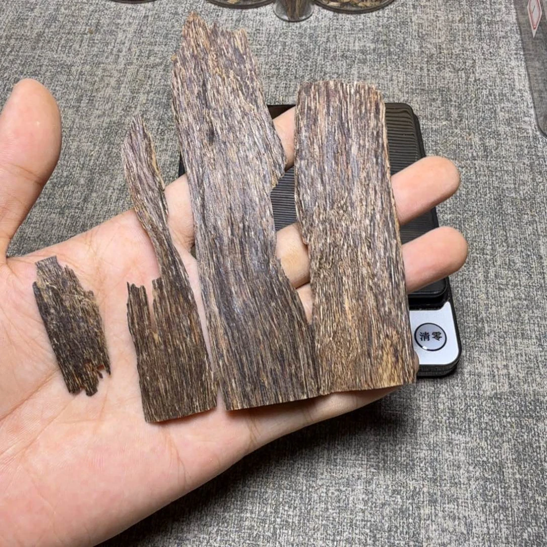 香榧木油脂皮10克