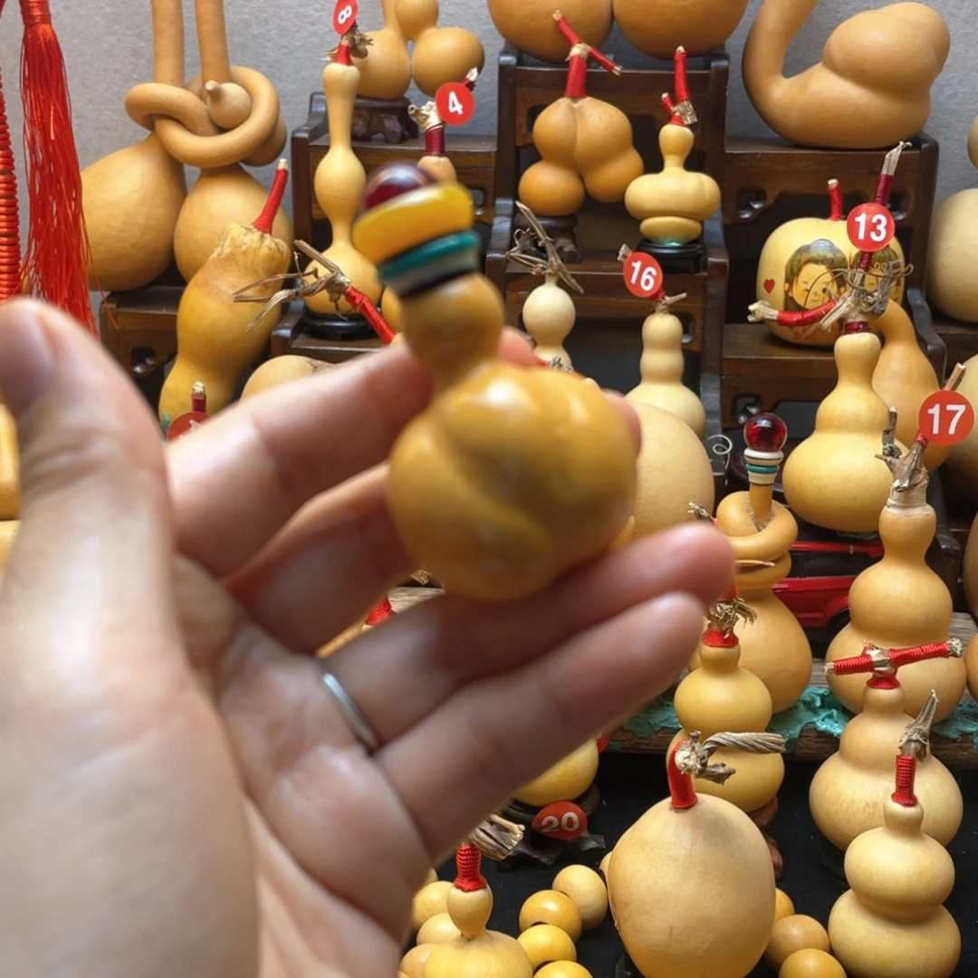 ᴺ*大自然的秘密第十一节你是谁