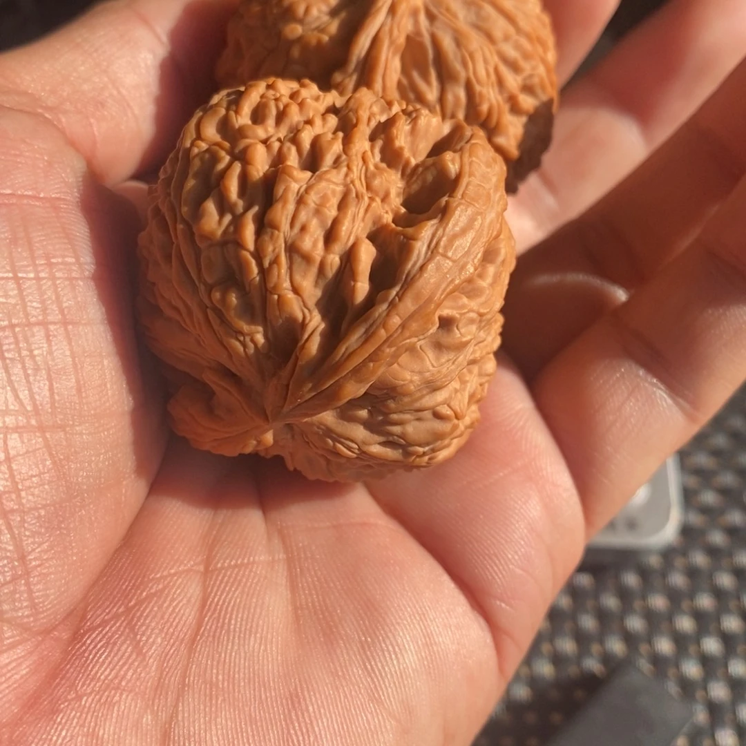 炎***炎大叶紫檀（黑酸枝木类）白狮子