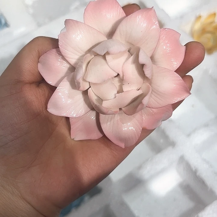 微瑕，不 退不换，介意勿拍，退换拉黑