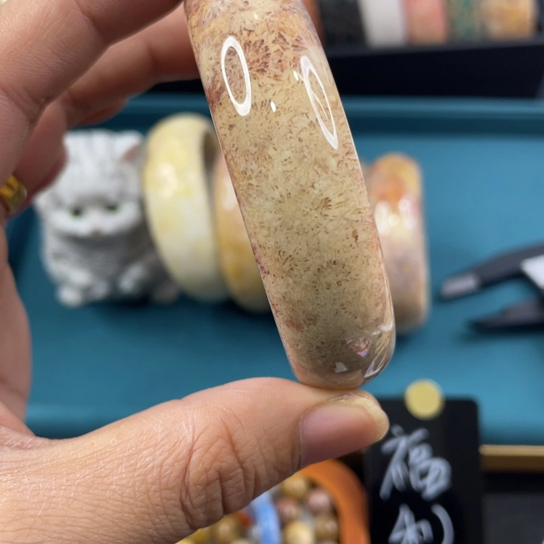 未镶嵌手镯硅化玉