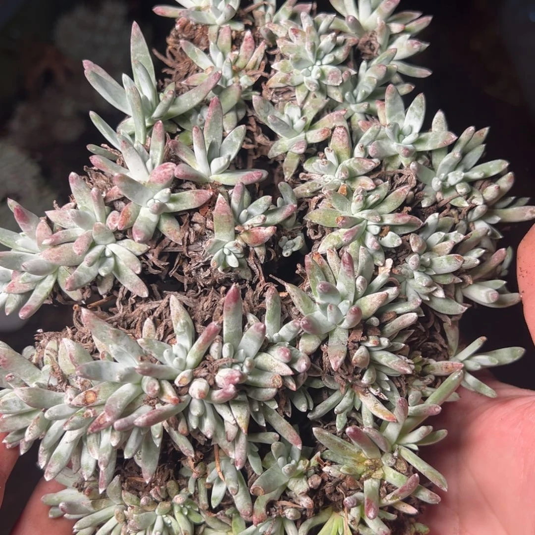 5027哈哈哈哈哈哈哈