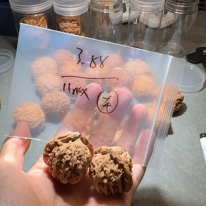 1***x文玩核桃吊坠白狮子