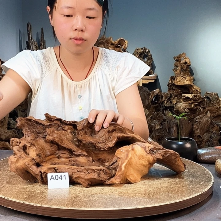 茶盏龙****）041株木随行的小根艺