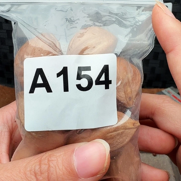 拿***轮手串/手链橄榄核橄榄