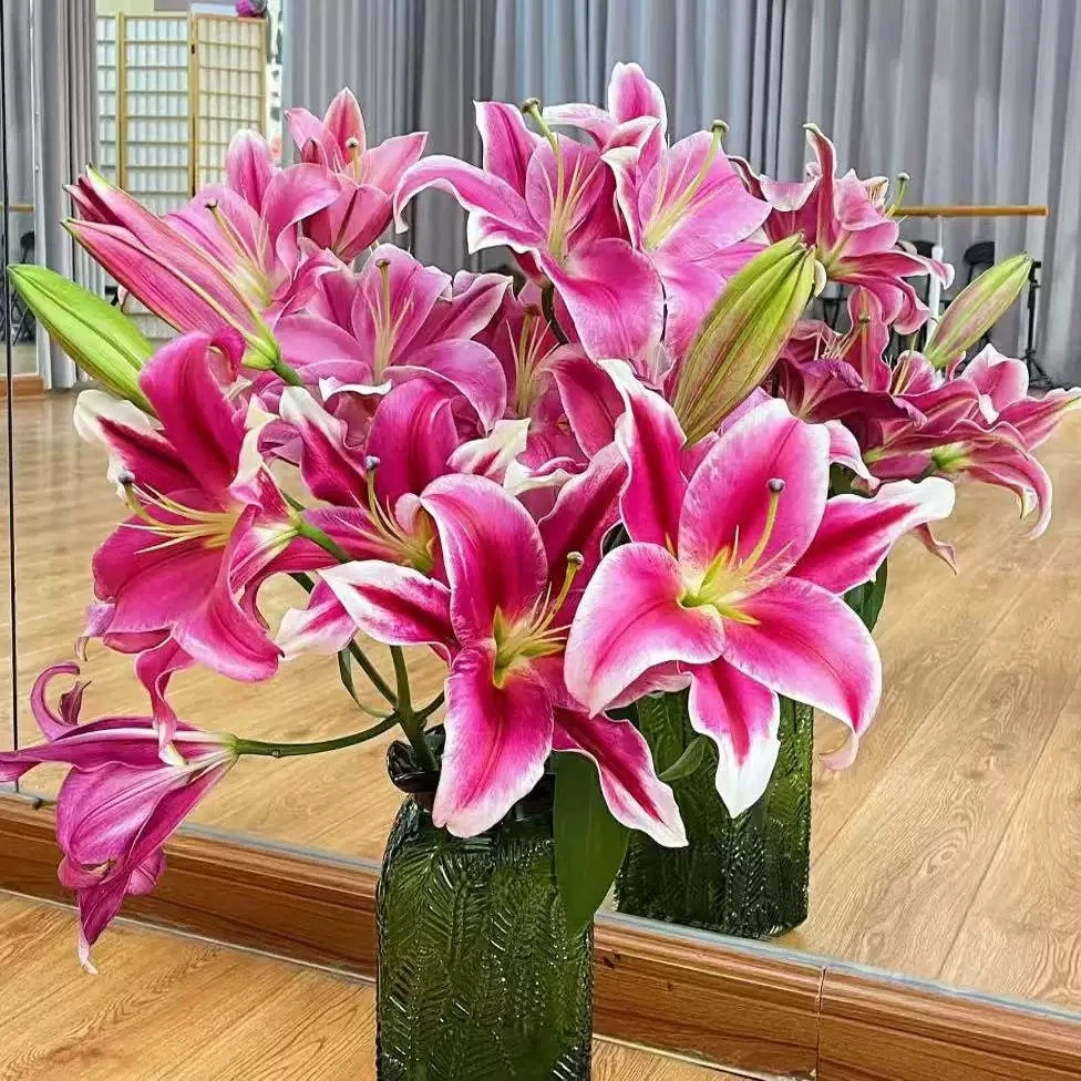 【洪福AK】粉色香水百合  基地直发 | 全场鲜花任意两单包邮