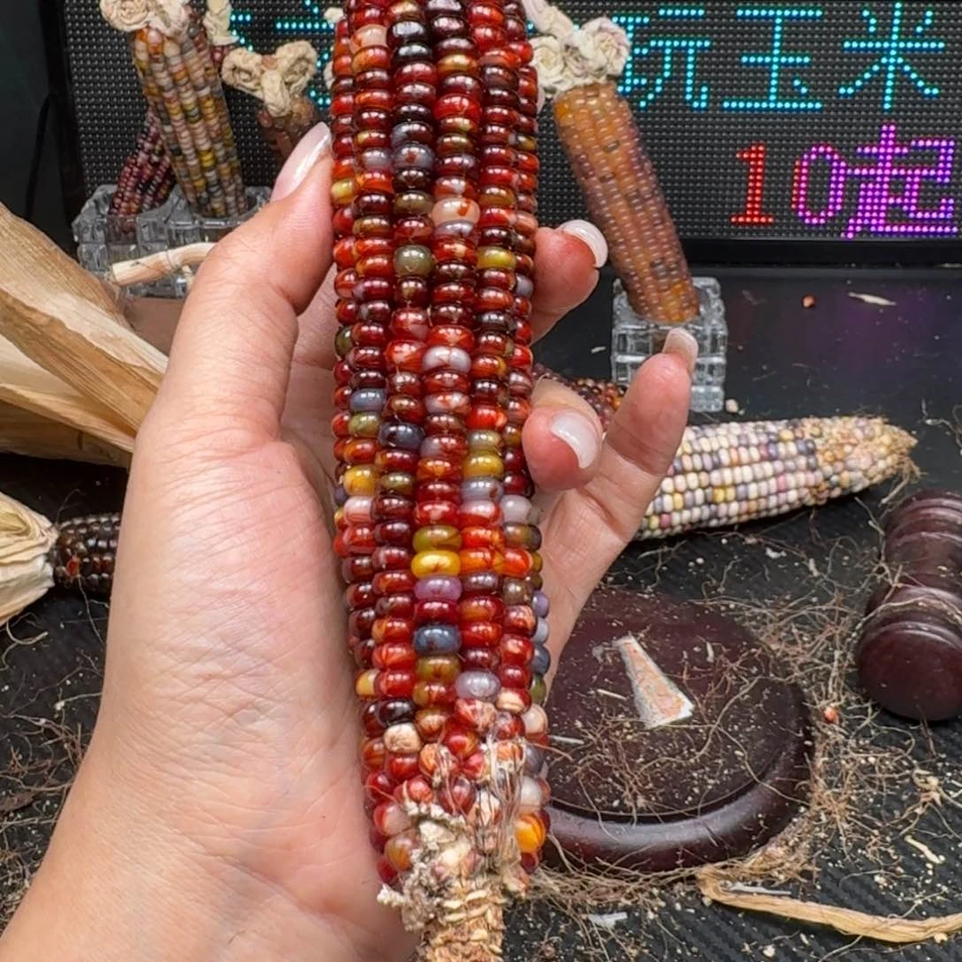 柏香籽/百香籽吊坠念*