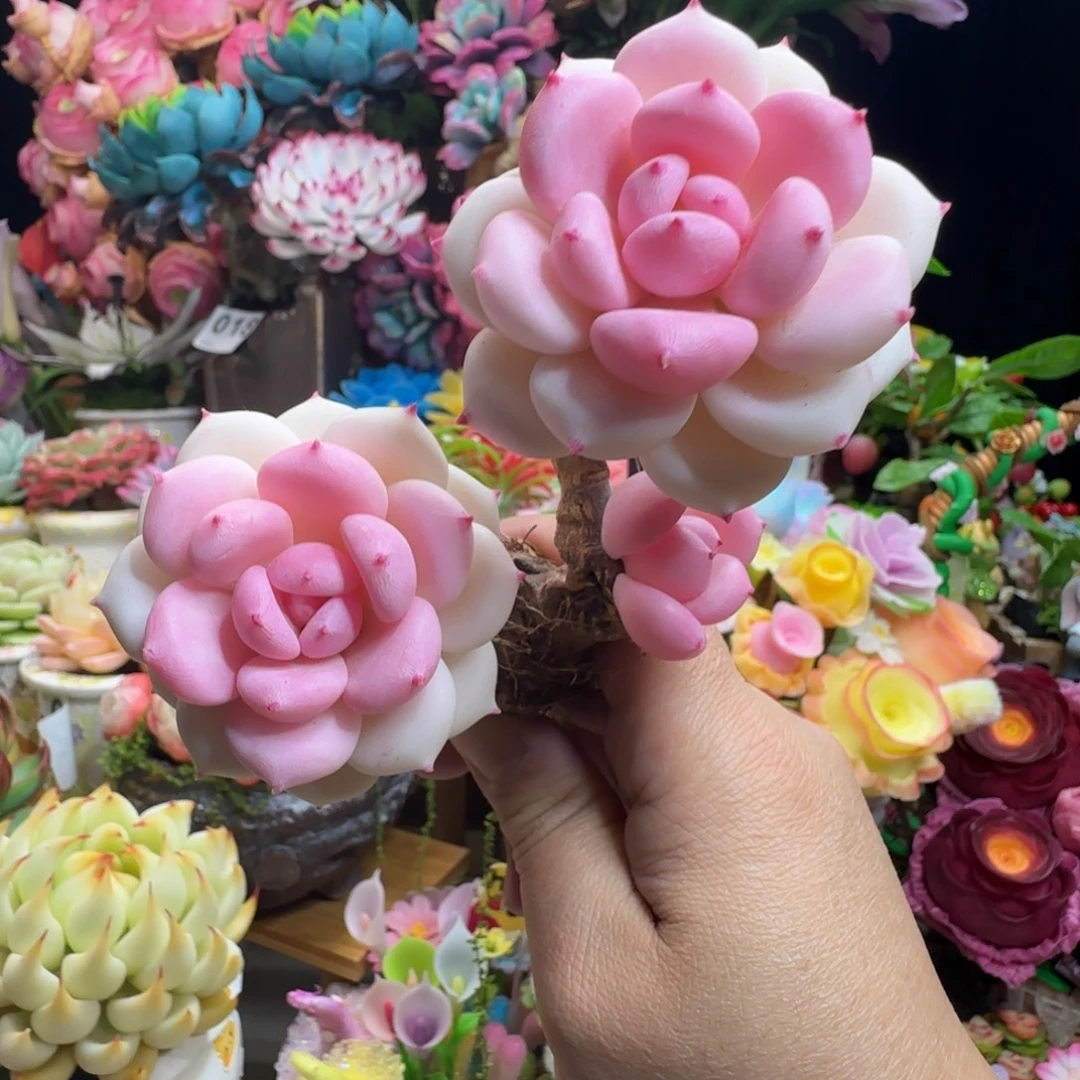手工制作白茶不带盆