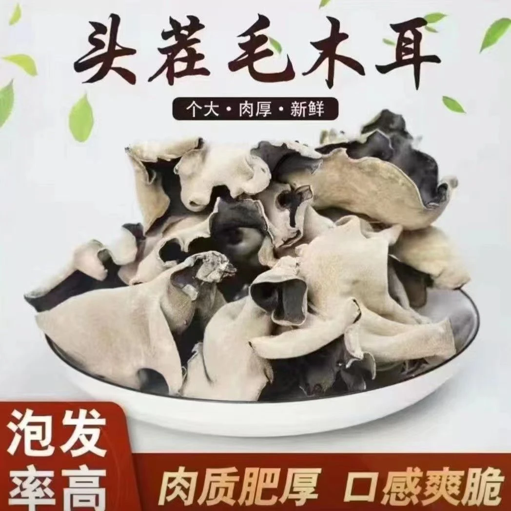 新货农家大木耳炒菜