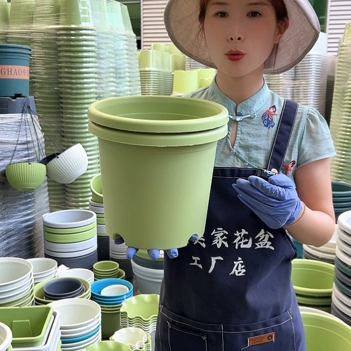 四季盆4#果绿8个含托