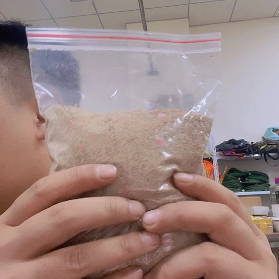 城***陈一款拉111111111111