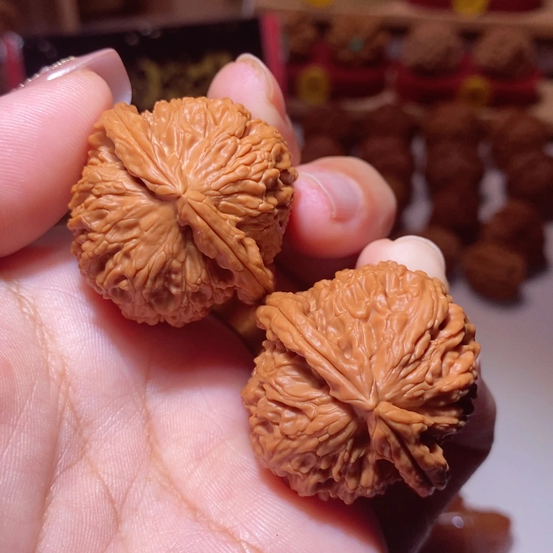 文玩核桃把件37尺白狮子