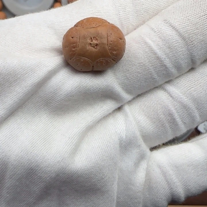 凤眼菩提吊坠，20尺寸五星打孔不退不换