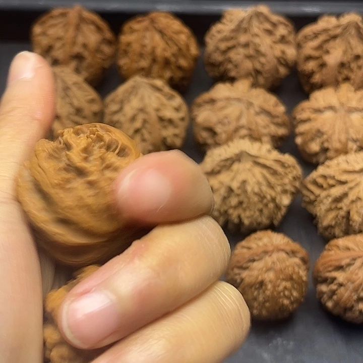 核桃秦岭突突突突突