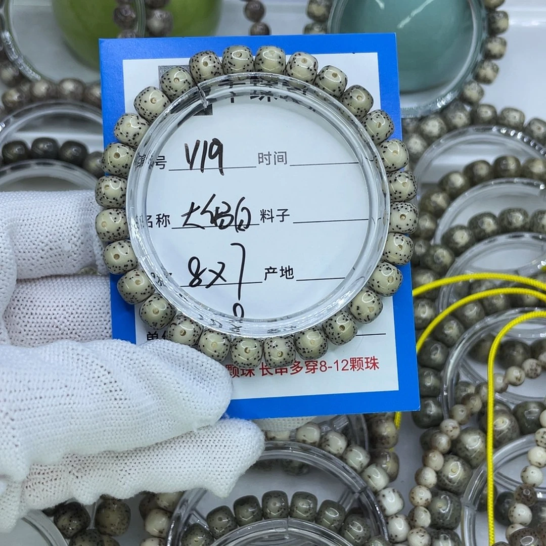 菩提籽类Y19大留白