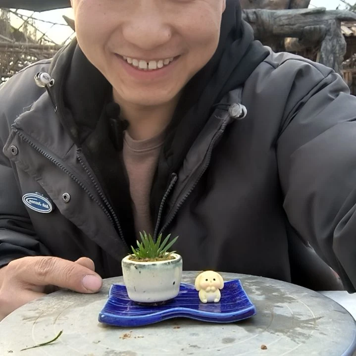 一**艺小盆景小植物一物一拍142