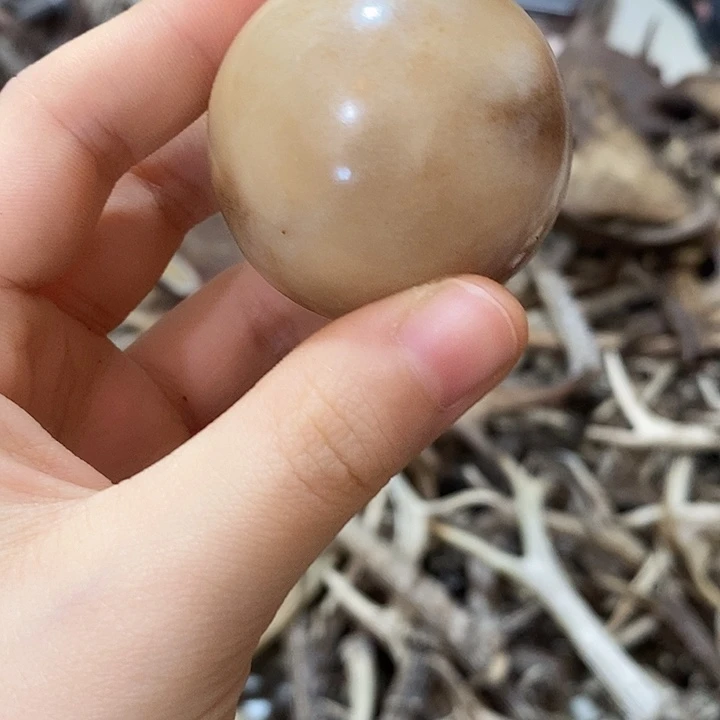 石英石非金属鹿角鹿角鹿角微瑕