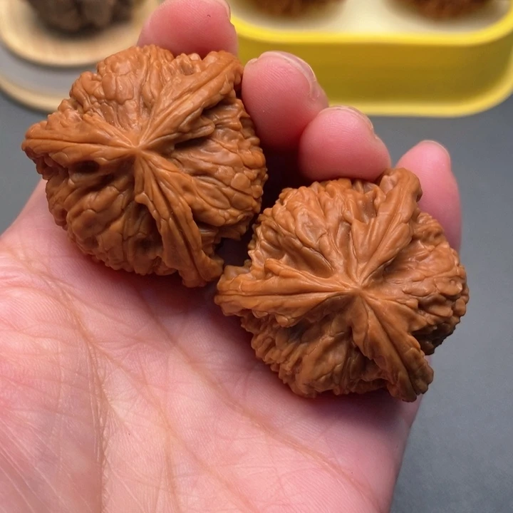 木质类曾*核桃核桃