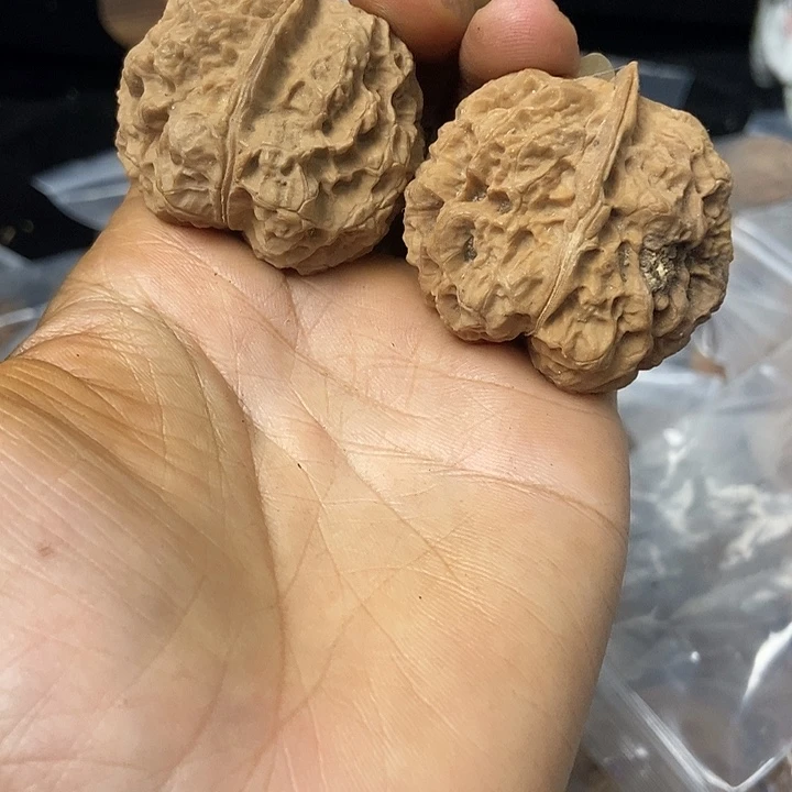 把件文玩核桃云南铁核桃基地61