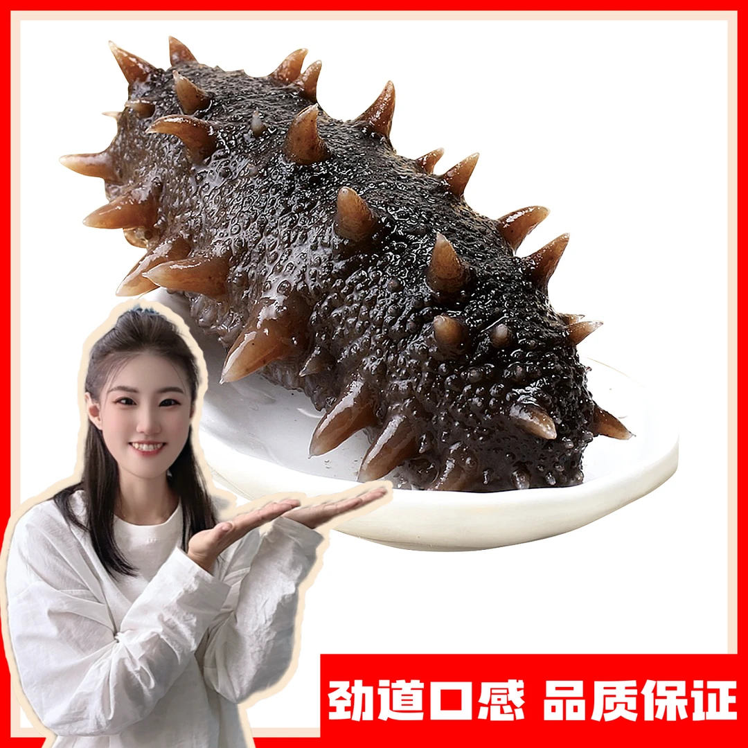 『大美海参』4-6头 500g  特别劲道 大连海参  深海冷水参