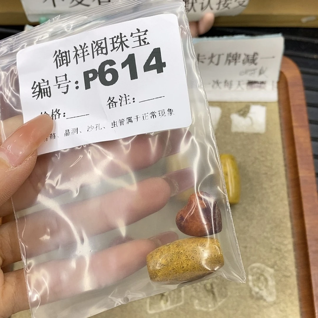 硅化珊瑚（珊瑚玉）未镶嵌颈饰可*