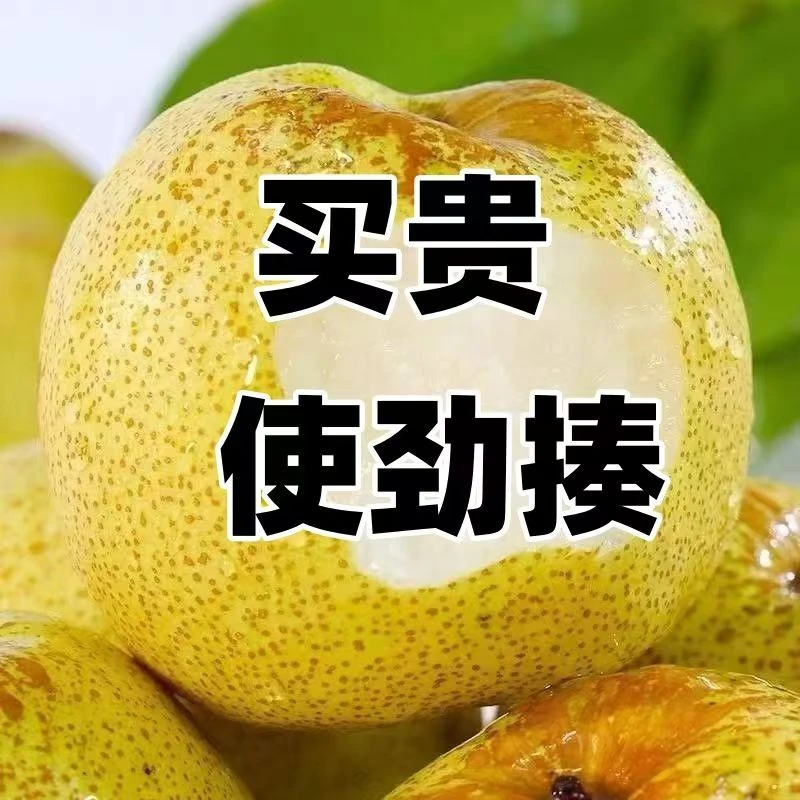 砀山酥梨爆甜脆梨子水果梨新鲜薄皮酥梨水果农场直发