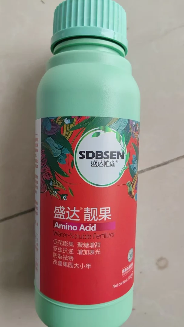 叶片黄花果面光亮