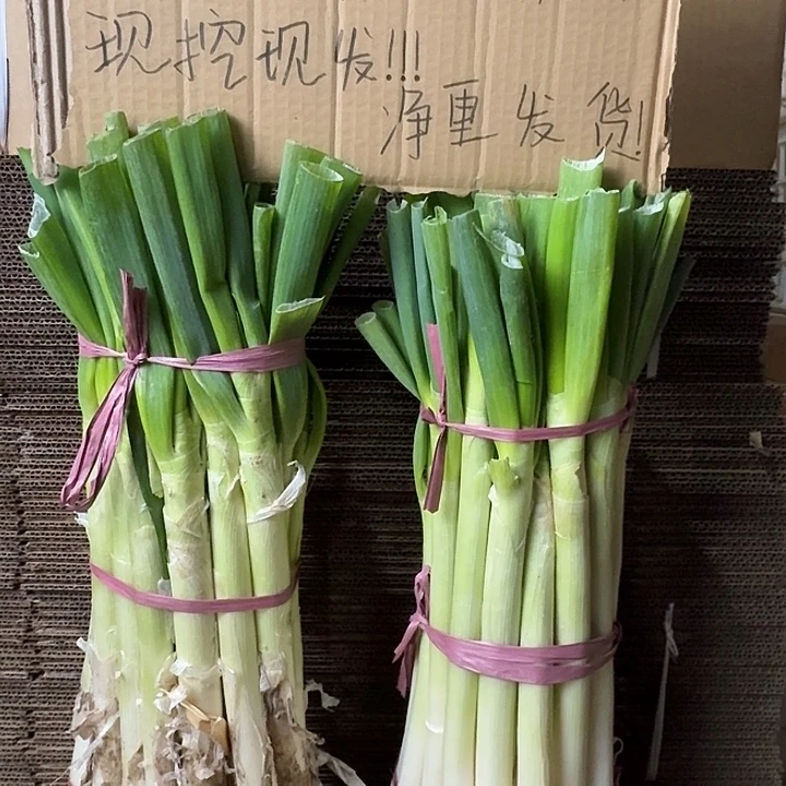 福利山东铁杆大葱带皮半叶5斤中国大陆
