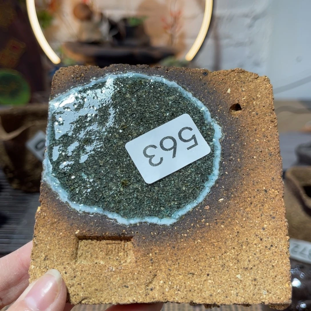 木村信弘柴烧保平