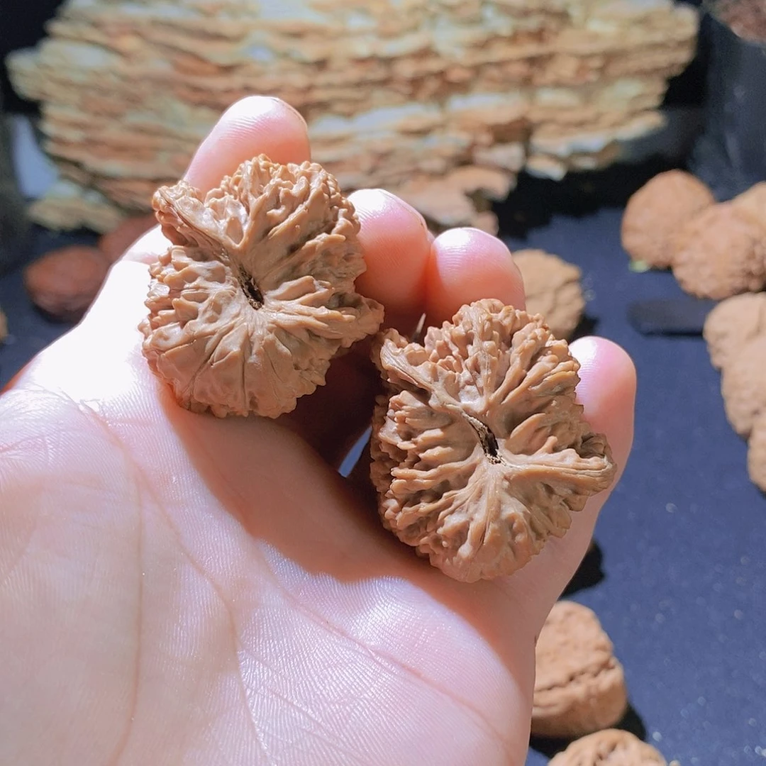 核桃其他佳**！满天星全品