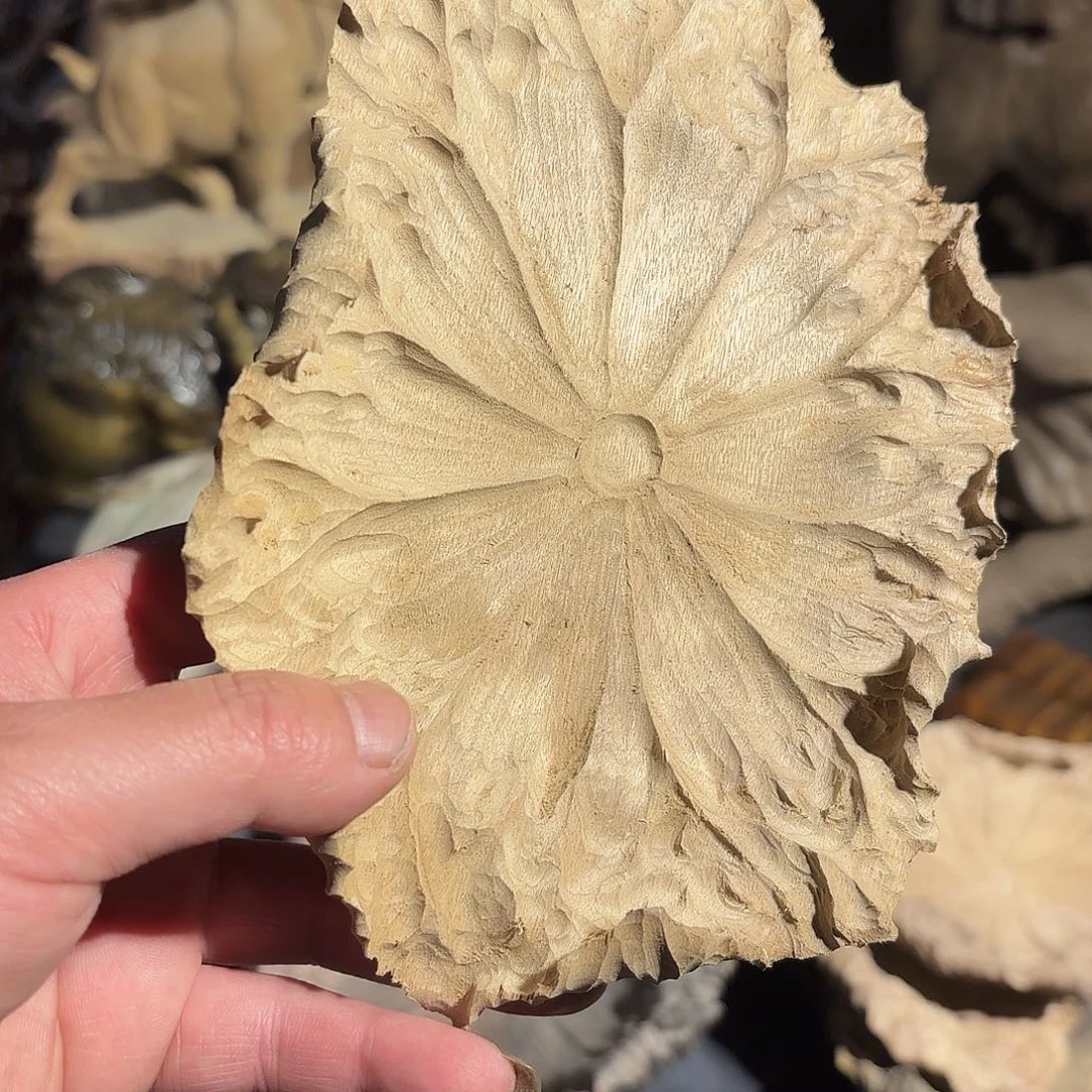 金丝楠淼****部小叶金丝楠木