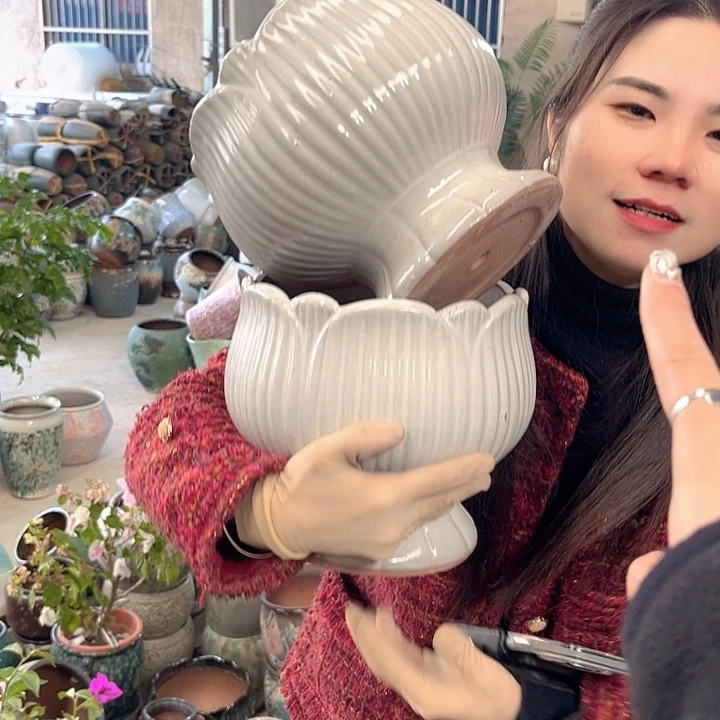 正品口21高19花盆……