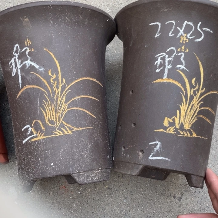 周深周深周深周深