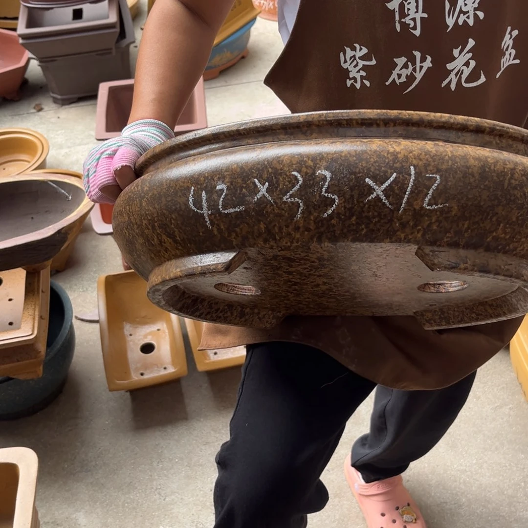 紫砂花盆盆景艺术
