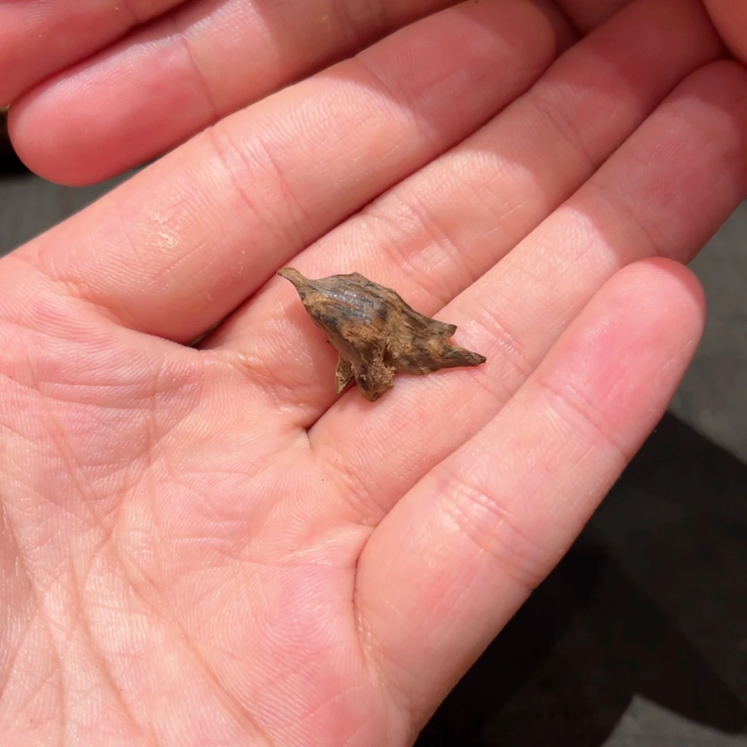 沉香吊坠海南糖结沉水黑棋楠0.8g