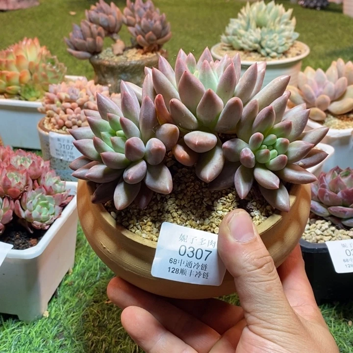 0307啊啊啊啊啊啊啊啊啊啊