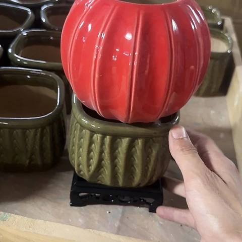 ··2盆++2个塑料托盘··