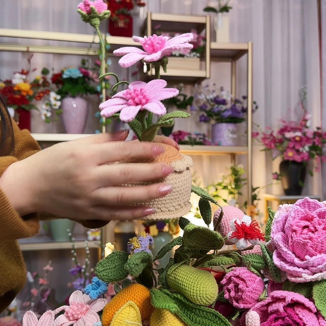 纯手工钩织钩织盆栽
