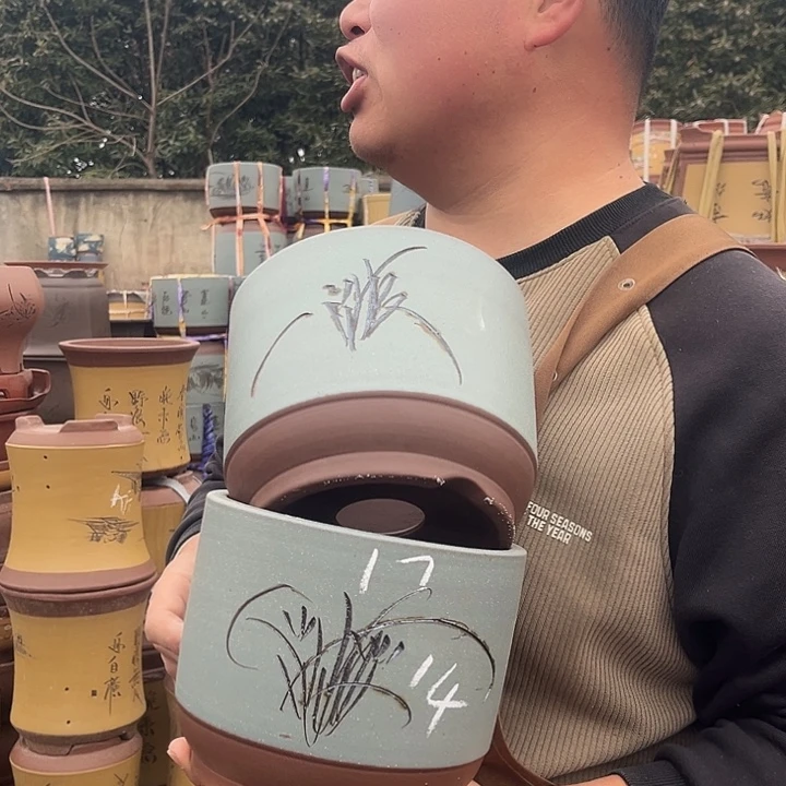 紫砂紫砂花盆盆栽